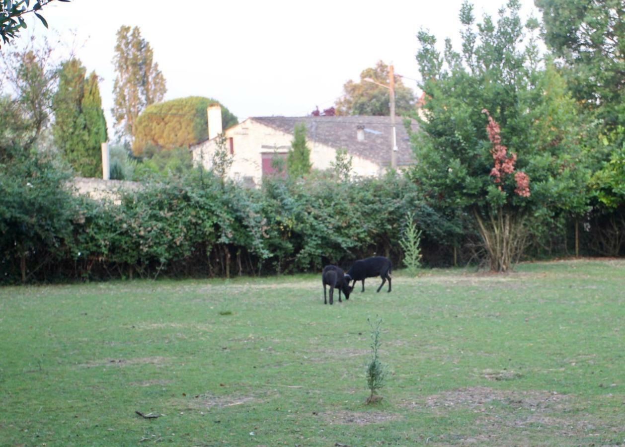 Le Clos Du Gorion Hotell Saint-Sulpice-et-Cameyrac Exteriör bild